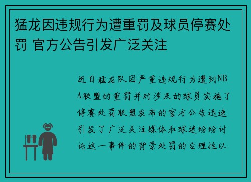 猛龙因违规行为遭重罚及球员停赛处罚 官方公告引发广泛关注